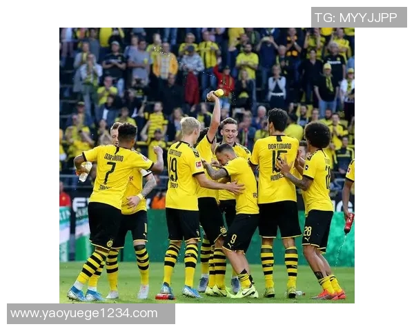 国王杯精彩对决多特蒙德逆转那不勒斯全场沸腾的瞬间分析